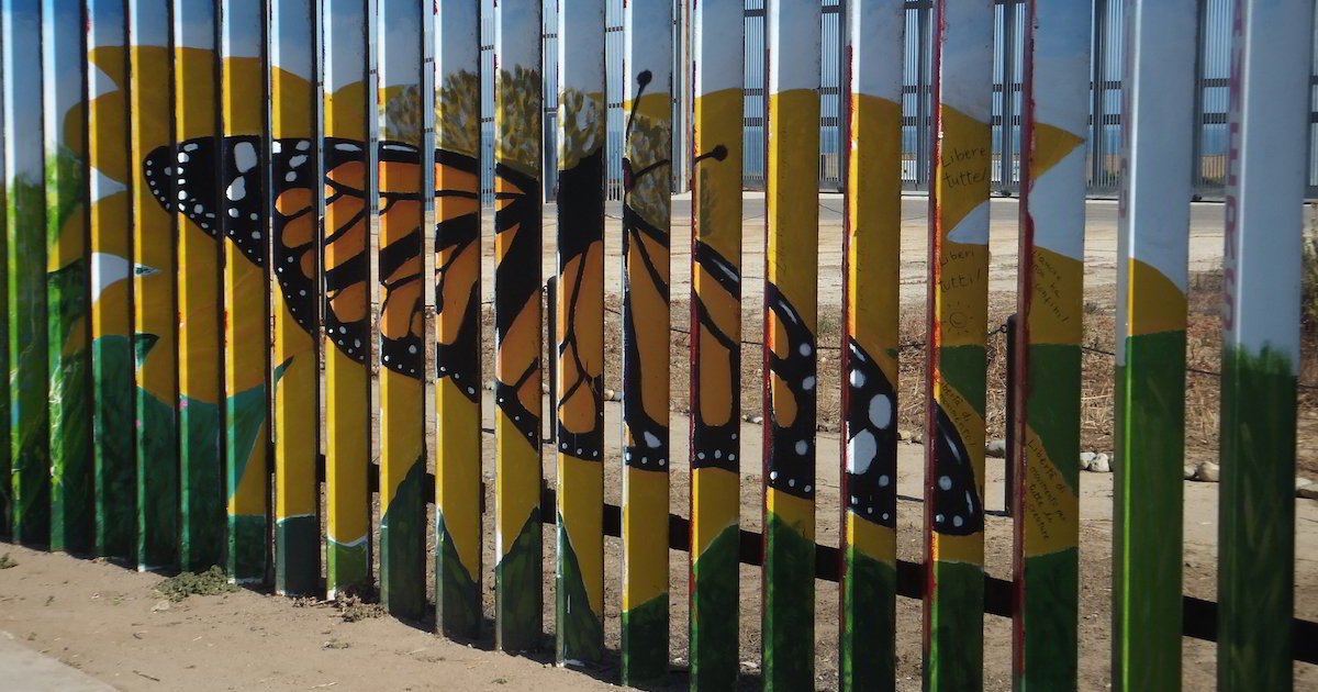 Playas de Tijuana Butterfly Border Fence